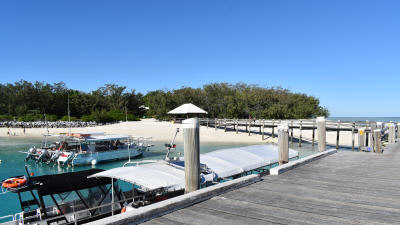 Heron Island 